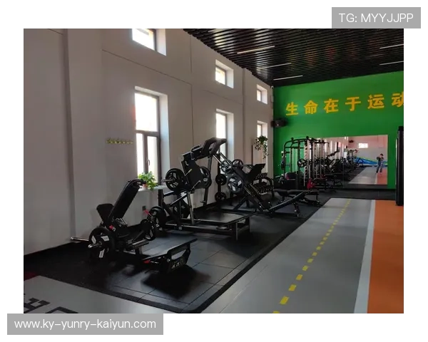 如何辨别优质健身器材：购买前必知的要点